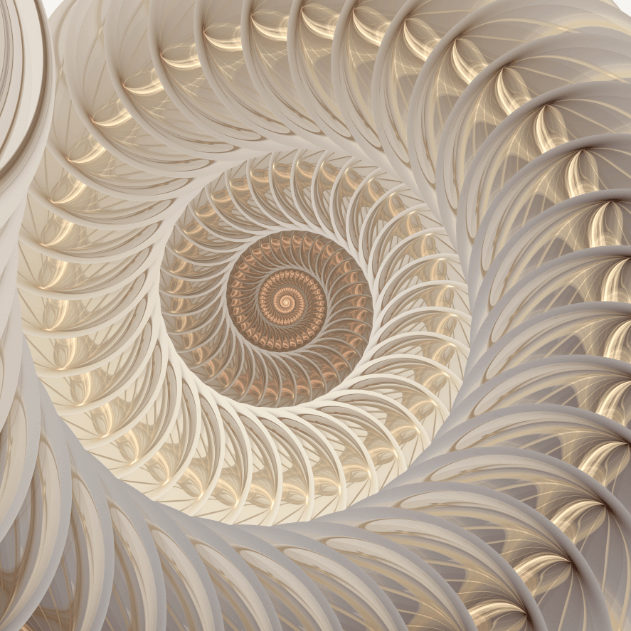 Life in Harmony WA bigstock-Abstract-Fractal-Spiral-Shell-800_800 Dragon Light Language Transmission for Decision-making  